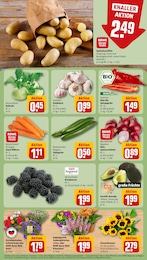 Pflanzen Angebot & Preis im aktuellen REWE Prospekt Pflanzen Angebot im aktuellen REWE Prospekt auf Seite 7