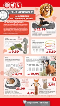 Ente im aktuellen Zookauf Prospekt (Leverkusen) Ente im Zookauf Prospekt "Herbstliche Highlights für Groß & Klein" mit 9 Seiten (Leverkusen)