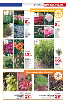 Promo Photinia dans le catalogue Hyper U du moment à la page 27