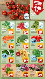 Rüben Angebot & Preis im aktuellen REWE Prospekt Rüben Angebot im aktuellen REWE Prospekt auf Seite 7