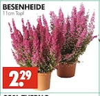 Wreesmann Brandenburg - BESENHEIDE Angebot im Prospekt BESENHEIDE bei Wreesmann im Brandenburg Prospekt für 2,29 €