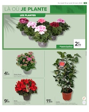 Fleurs Angebote im Prospekt "JARDIN LÀ OÙ LA VIE SE CULTIVE" von Carrefour Fleurs Angebote im Prospekt "JARDIN LÀ OÙ LA VIE SE CULTIVE" von Carrefour auf Seite 5