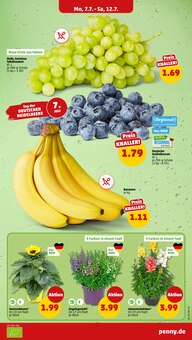 Bananen im aktuellen Penny Prospekt (Koblenz) Bananen im Penny Prospekt "Wer günstig will, muss Penny." mit 32 Seiten (Koblenz)