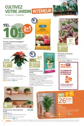 Prix et réduction Anthurium dans le prospectus Jardiland en cours Offre Anthurium dans le catalogue Jardiland du moment à la page 6