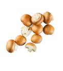 Kulturchampignons braun Angebote von bio bei ALDI Nord Bremerhaven für 1,59 €