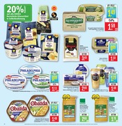 Tee im Marktkauf Prospekt in Lörrach Aktueller Marktkauf Prospekt mit Tee, "Aktuelle Angebote", Seite 10