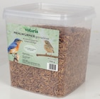 Mehlwürmer im Thomas Philipps Prospekt Mehlwürmer von volaris im aktuellen Thomas Philipps Prospekt für 9,99 €