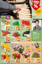 Pflanzen im REWE Prospekt in Laatzen Aktueller REWE Prospekt mit Pflanzen, "Dein Markt", Seite 7