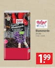 Hofgut Blumenerde Angebote bei famila Nordost Neustadt für 1,99 €