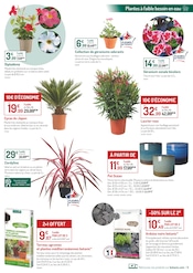 D'autres offres dans le catalogue "LES 30 PRINTEMPS botanic" de Botanic D'autres offres dans le catalogue "LES 30 PRINTEMPS botanic" de Botanic à la page 3