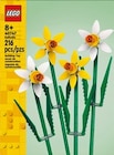Blume Botanical Collection im Angebot bei Netto mit dem Scottie in Berlin Blume Botanical Collection Angebote von LEGO bei Netto mit dem Scottie Berlin für 14,99 €