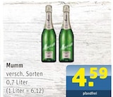 Aktuelle Mumm Angebote bei Getränke Arena in Essen Aktuelles Mumm Angebot bei Getränke Arena in Essen ab 4,59 €