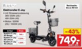 E-Joy 20 Bleigel von Rolektro im aktuellen Netto Marken-Discount Prospekt für 749,00 €
