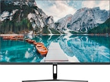 PMO S274-IFC Full-HD Monitor von Peaq im aktuellen MediaMarkt Saturn Prospekt