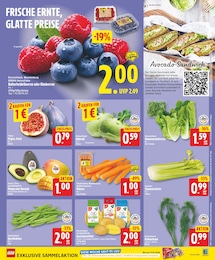 Kräutertopf Angebot & Preis im aktuellen EDEKA Prospekt Kräutertopf Angebot im aktuellen EDEKA Prospekt auf Seite 3