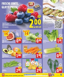 Obst im aktuellen EDEKA Prospekt (Berlin) Obst im EDEKA Prospekt "Aktuelle Angebote" mit 29 Seiten (Berlin)