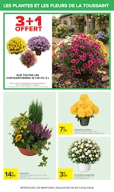 Promos Chrysanthèmes dans le catalogue "HAHA HALLOWEEN" de Carrefour Chrysanthèmes en promo dans le catalogue Carrefour à la page 68