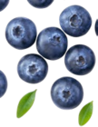 Kaufland Herford - Peruan. Kulturheidelbeeren Angebot im Prospekt Peruan. Kulturheidelbeeren bei Kaufland im Herford Prospekt für 2,49 €