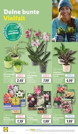 Aktueller Lidl Prospekt mit Orchidee, "LIDL LOHNT SICH", Seite 18