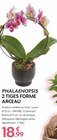 Truffaut Saint-Fargeau-Ponthierry - Promo PHALAENOPSIS 2 TIGES FORME ARCEAU Promo PHALAENOPSIS 2 TIGES FORME ARCEAU à 18,99 € dans le catalogue Truffaut à Saint-Fargeau-Ponthierry