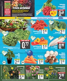 Zwiebeln Angebot & Preis im aktuellen EDEKA Prospekt Zwiebeln Angebot im aktuellen EDEKA Prospekt auf Seite 6