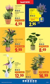 Orchidée Angebote im Prospekt "LIDL SOUTIENT LES PRODUCTEURS FRANÇAIS" von Lidl Orchidée Angebote im Prospekt "LIDL SOUTIENT LES PRODUCTEURS FRANÇAIS" von Lidl auf Seite 29