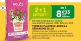 Jardineries du terroir Aurillac - Promo Terreau plantes fleuries & géraniums ECLOZ Promo Terreau plantes fleuries & géraniums ECLOZ à 8,33 € dans le catalogue Jardineries du terroir à Aurillac