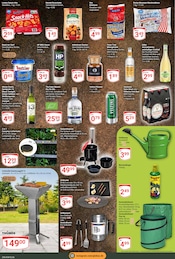 Veltins im GLOBUS Prospekt in Zwickau Aktueller GLOBUS Prospekt mit Veltins, "Aktuelle Angebote", Seite 11