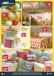 Sitzkissen Angebot & Preis im aktuellen Netto mit dem Scottie Prospekt Sitzkissen Angebot im aktuellen Netto mit dem Scottie Prospekt auf Seite 20
