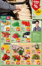 Balkonpflanzen im REWE Prospekt in Bensheim Aktueller REWE Prospekt mit Balkonpflanzen, "Dein Markt", Seite 7