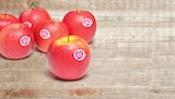 nahkauf Wartenberg - Rote Tafeläpfel lose Angebot im Prospekt Rote Tafeläpfel lose bei nahkauf im Wartenberg Prospekt für 2,49 €