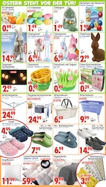 Aktueller Wreesmann Prospekt mit Tulpen, "DEIN SAISON- & SONDERPOSTENMARKT!", Seite 18