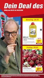 Erdbeerpflanzen im toom Baumarkt Prospekt in Gelsenkirchen Aktueller toom Baumarkt Prospekt mit Erdbeerpflanzen, "Respekt, wer's selber macht.", Seite 30