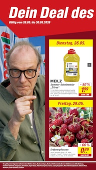 Erdbeerpflanzen im toom Baumarkt Prospekt "Respekt, wer's selber macht." mit 32 Seiten (Bochum)