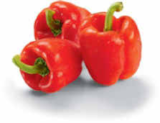 Paprika rot Angebote bei Netto Marken-Discount Buchholz für 1,35 €