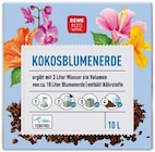 Kokosblumenerde Angebote von REWE Beste Wahl bei REWE Paderborn für 2,29 €
