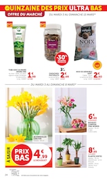 Offre Courgette dans le catalogue U Express du moment à la page 24