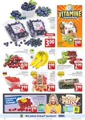 Äpfel im E center Prospekt in Hof Aktueller E center Prospekt mit Äpfel, "Wir lieben Lebensmittel!", Seite 8
