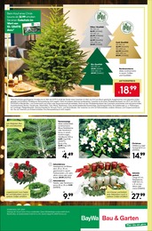 BayWa Bau- und Gartenmärkte Christrose im Prospekt BayWa Bau- und Gartenmärkte Christrose im Prospekt