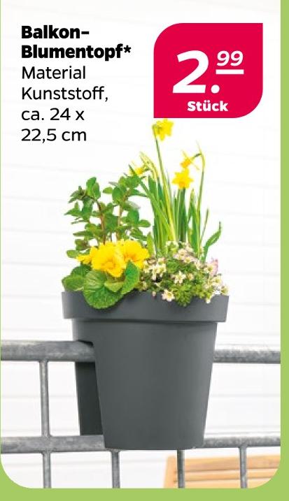 Balkon-Blumentopf