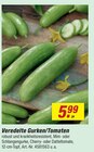 Veredelte Gurken/Tomaten Angebote bei toom Baumarkt Rostock für 5,99 €
