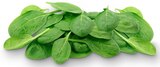 Bio Baby Spinat im Angebot bei REWE in Freiburg Bio Baby Spinat Angebote von REWE Bio bei REWE Freiburg für 1,11 €