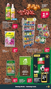 Blumenerde im Netto mit dem Scottie Prospekt "Günstig. Besser. Für Dich." mit 40 Seiten (Halle (Saale))