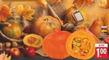 EDEKA Wilsdruff Prospekt mit  im Angebot für 1,00 €