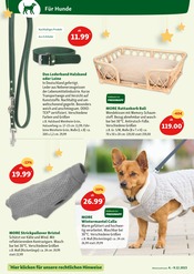 Hundekissen Angebote im Prospekt "Alles für dein Tier" von Fressnapf Hundekissen Angebote im Prospekt "Alles für dein Tier" von Fressnapf auf Seite 6