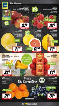 Äpfel im aktuellen E center Prospekt (Münster) Äpfel im E center Prospekt "Aktuelle Angebote" mit 19 Seiten (Münster)