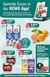Aktueller REWE Prospekt mit Erdbeeren, "Dein Markt", Seite 2
