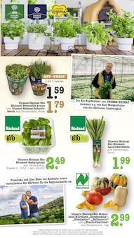 Kürbis im aktuellen EDEKA Prospekt (Offenbach (Main)) Kürbis im EDEKA Prospekt "Aktuelle Angebote" mit 69 Seiten (Offenbach (Main))