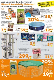 Felix Katzenfutter im aktuellen Globus-Baumarkt Prospekt (Karlsruhe) Felix Katzenfutter im Globus-Baumarkt Prospekt "Immer eine Idee besser" mit 16 Seiten (Karlsruhe)