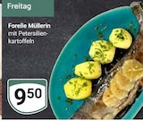 Angebot im GLOBUS Mühldorf (Inn) Prospekt GLOBUS Mühldorf (Inn) Prospekt mit im Angebot für 9,50 €
